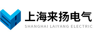 上海来扬电气科技有限公司